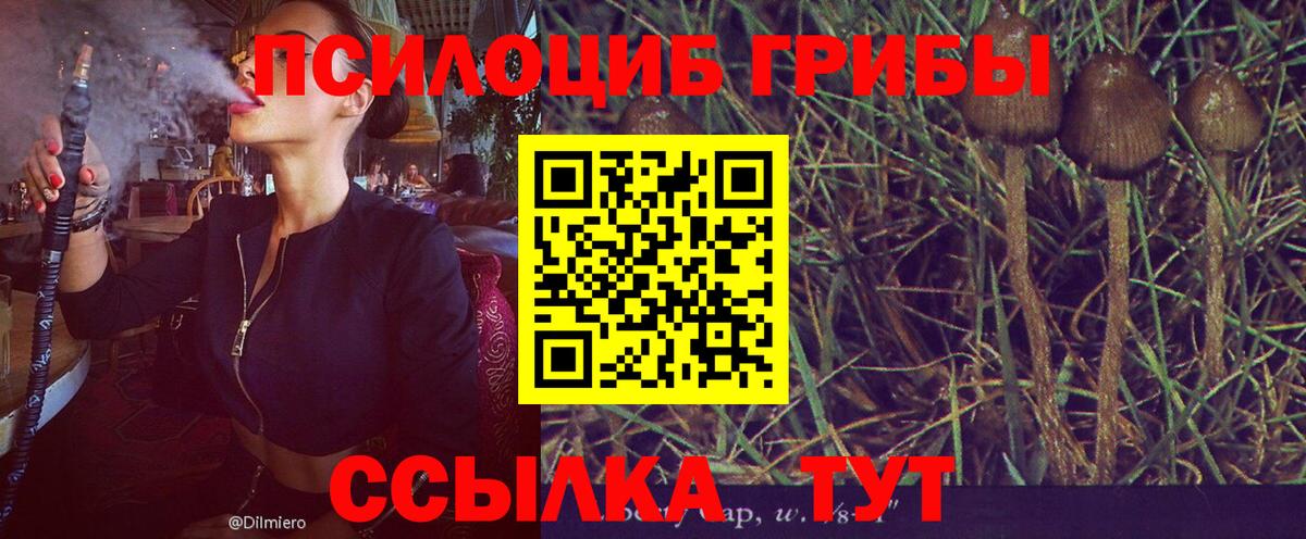 Псилоцибиновые грибы мухоморы Димитровград